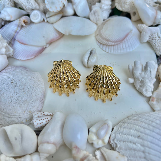 Seashell Earrings